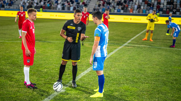 马的头号巨 马的头号巨