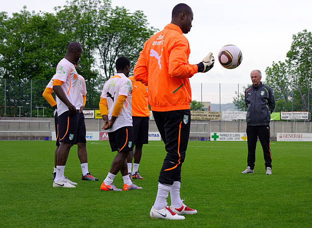 广东悦跑豹 广东悦跑豹